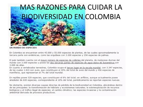 Ventajas De La Biodiversidad En Colombia Ppt