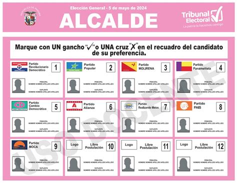 Tribunal Electoral Elecciones 2024 Colores De Papeletas Para Ejercer Tu Voto