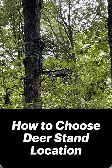 How to Choose Deer Stand Location in 2023 | Deer stand, Tree stand hunting, Hunting stands