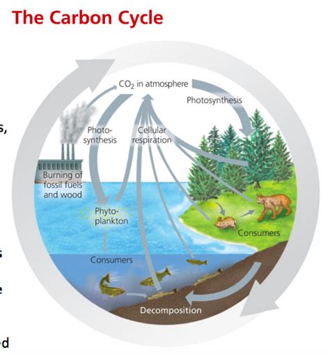 Arriba Imagen What Does Burning Fossil Fuels Release Into The