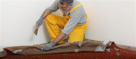 Top 5 Methods To Remove Mold From Carpet