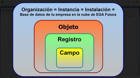 Qu Es Una Organizaci N Dentro De La Plataforma Ega Futura