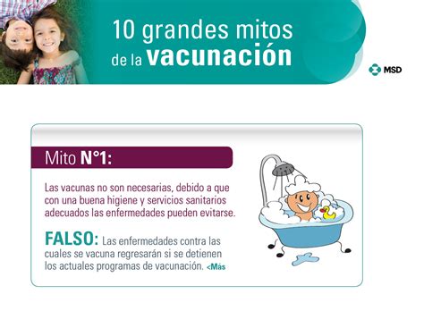 Grandes Mitos De La Vacunaci N Federaci N Mexicana De Diabetes A C