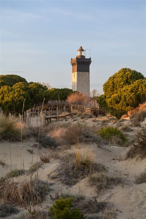 Acc S Au Site Le Phare De L Espiguette Grau Du Roi