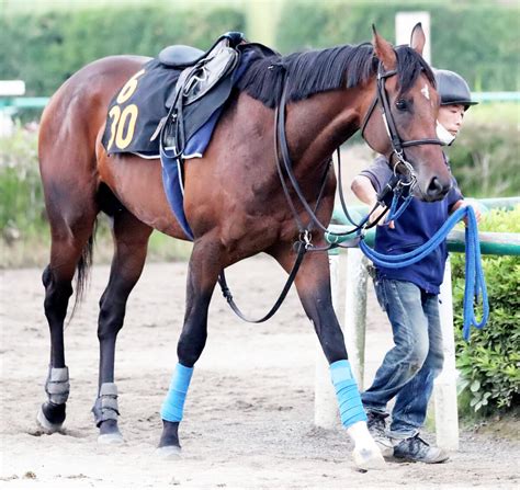 日曜メインレースの注目激走馬福島11rラジオnikkei賞・g3 スポーツ報知