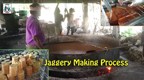 Jaggery Making Process Jaggery Production Process Traditional Food