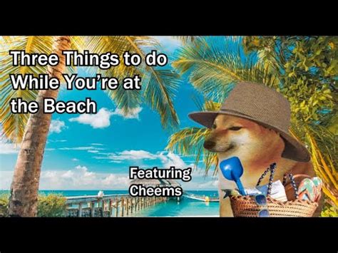 Three Things You Can Do At The Beach Featuring Cheems Youtube