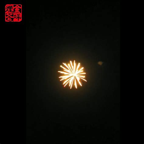 China Professional Fireworks Shell Manufacturers and Factory, Suppliers ...