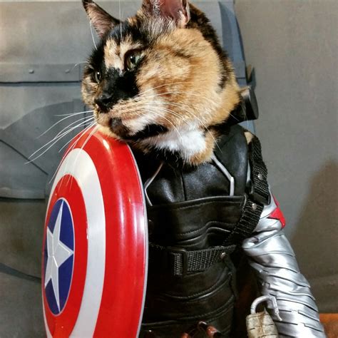 Cat Cosplay of the Feline variety. — cat-cosplay: “Five years ago I was ...