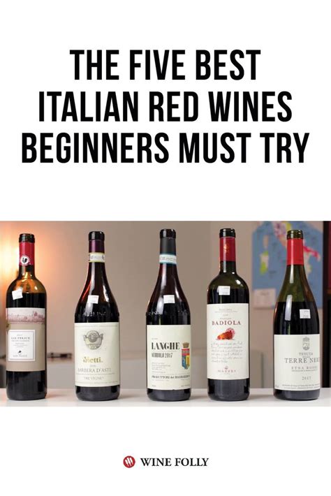 the five best italian red wines beginner's must try book by wine folly