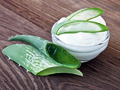 5 Mejores Cremas Con Aloe Vera