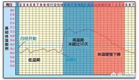 女性月经周期计算表，孕周期怎么算以b超还是末次月经为准 科猫网