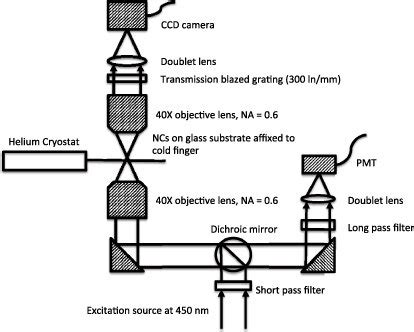 Diagram Of The Custom Built Microscope Thorlabs Model Otkb