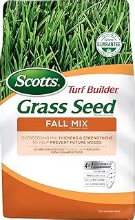 Amazon St Augustine Grass Seed