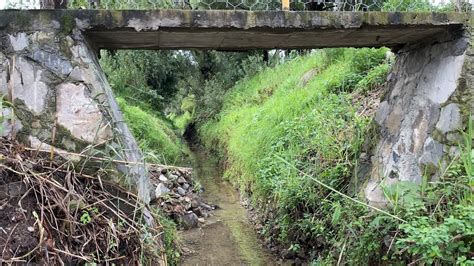 Mananatial Lago De Tzentzenguaro Michoacan YouTube