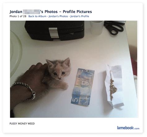 Pussy Money Weed SWF PIC R Funny