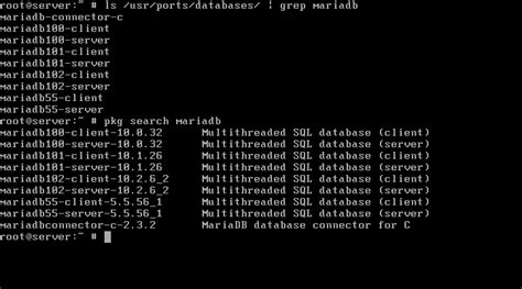 How To Install Nginx MariaDB And PHP FEMP Stack On FreeBSD