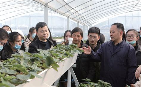 中国农村科技浙江农林大学科技种在绿水青山 课堂搬到田间地头 浙江农林大学