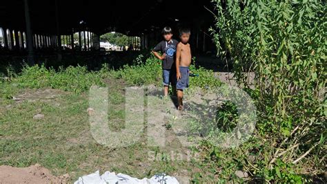 Una joven asesinada y violada fue hallada por niños en la ex estación Mitre