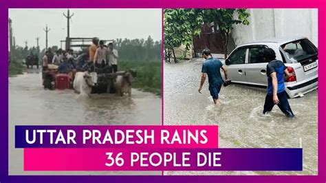 Uttar Pradesh 36 People Die Due To Lightning Drowning And Other Rain