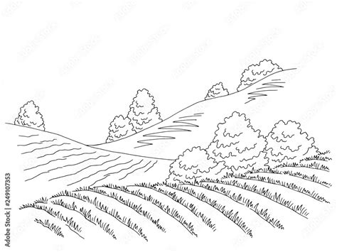 Vetor De Field Hill Graphic Black White Landscape Sketch Illustration