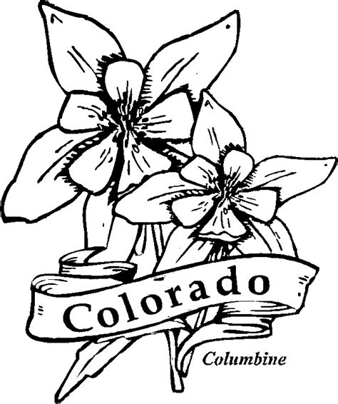 50 State Flowers Coloring Pages for Kids