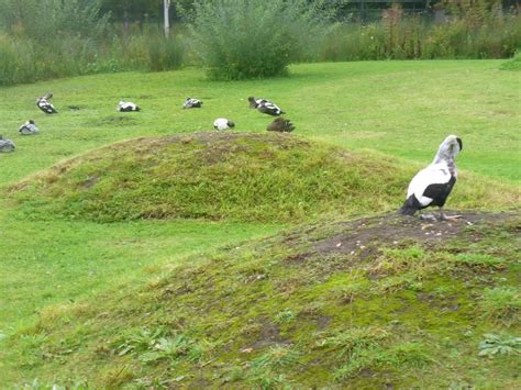 Discover The Pingos Of Rural Norfolk An Ice Age Relic