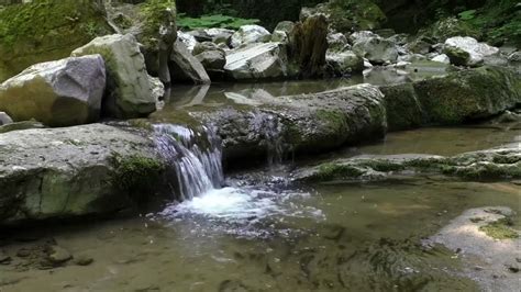 Relaxing Nature Sounds Water Trickling Down A Stream Fall Asleep