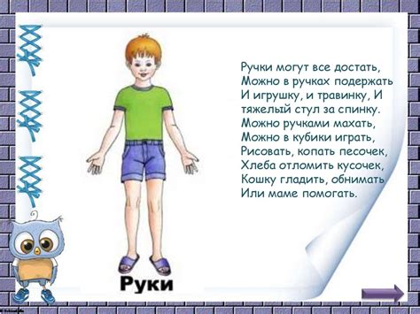 Изучаем себя. Я и мое тело - презентация онлайн
