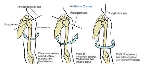 Axis of Rotation