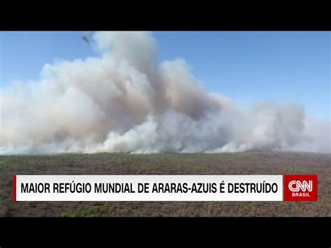 Maior refúgio mundial de araras azuis é destruído pelo fogo no Pantanal