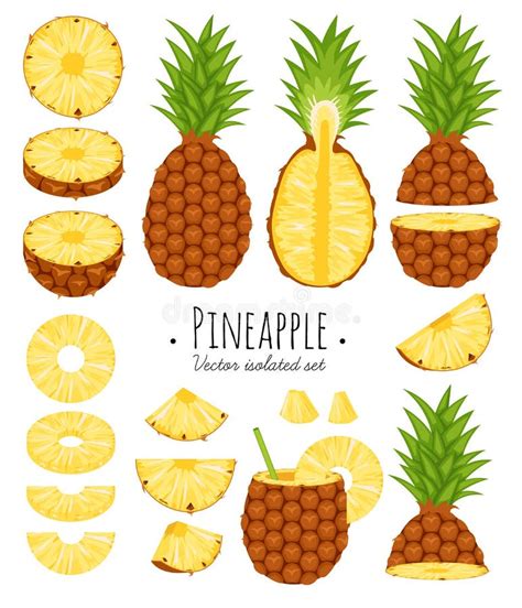 L Ensemble D Ananas Dans Divers Styles Dirigent Le Format Illustration