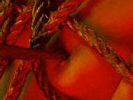 Naked Caroline Chojnacki In Live Feed