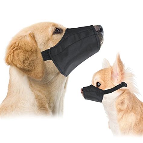 5 Best Dog Muzzle for Dogs of All Sizes in 2019