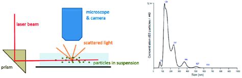 The principle of nanoparticle tracking analysis (NTA) and its obtained ... 