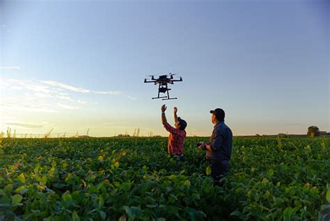 Carreiras que vão se destacar no agro em 2024 têm salários até R 25