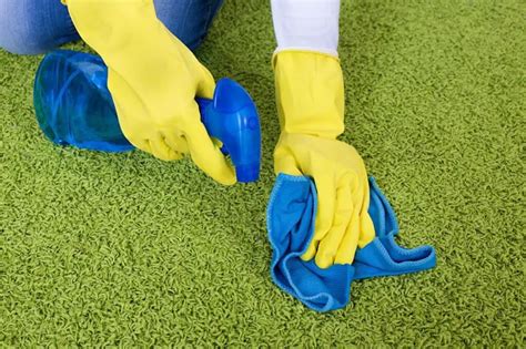 Top 8 Eco Friendly Carpet Cleaning Techniques How To Properly Clean