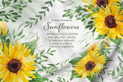 Sunflowers Watercolor Collection | Creative Market