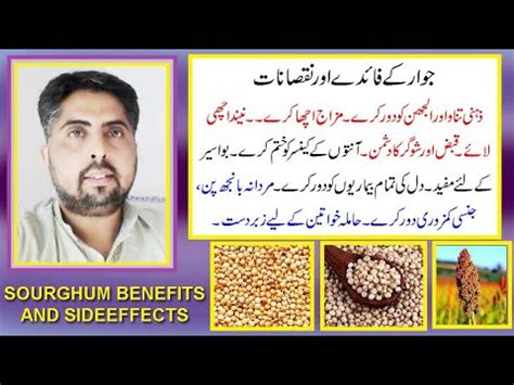 Jowar Jawar Kay Fayday Aor Nuqsanat In Urdu Hindi Sourghum Benefits And