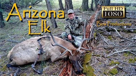 Arizona Archery Bull Elk Hunt Youtube