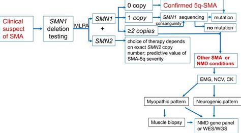 Diagnostic Algorithm For Diagnostics In Spinal Muscular Atrophy Emg