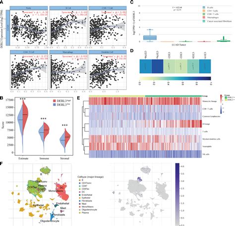 Frontiers Integrated Profiling Of Endoplasmic Reticulum Stress