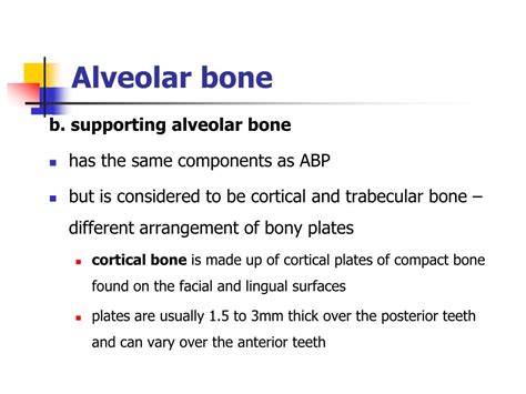 Ppt Bone And Alveolar Bone Powerpoint Presentation Free Download Id 6228679