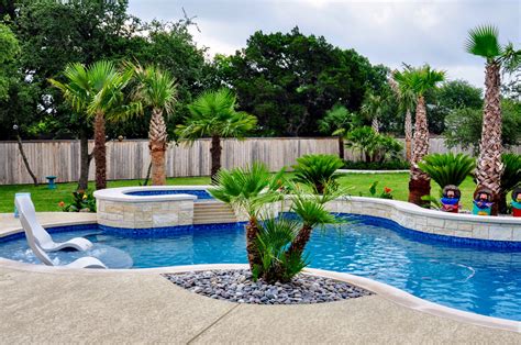 Tropical Landscaping Featuring Palm Trees Arizona Cypress Privacy