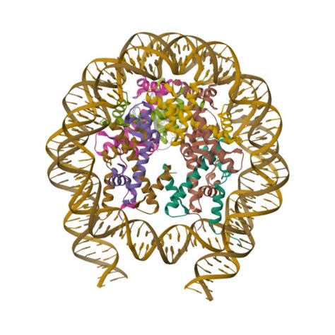 Rcsb Pdb G H H Bk Ub H K Me Modified Nucleosome Ubiquitin