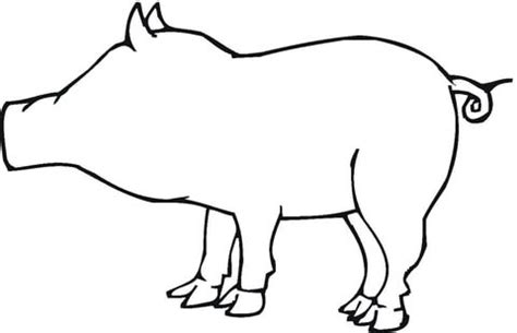 A Pig Outline coloring page | SuperColoring.com