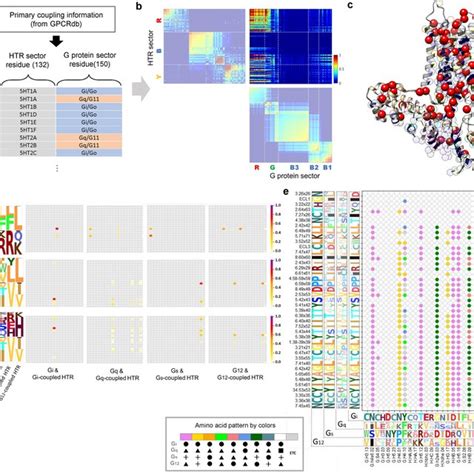 Structure And Selectivity Of Gpcr And G Protein A Structure Of