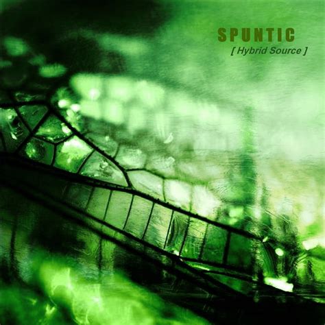 Spuntic Hybrid Source Lyrics And Tracklist Genius