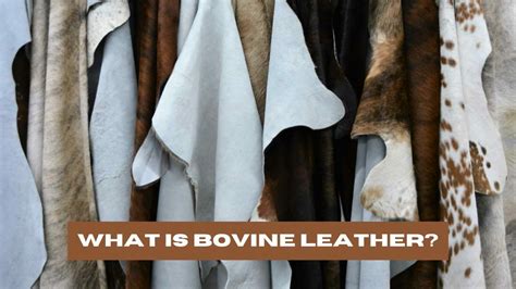 What is Bovine Leather? (Types Of Bovine Leather)