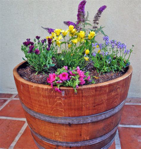 Mgp Lacquer Finished Half Wine Barrel Planter 26w X 16h And Reviews Wayfair